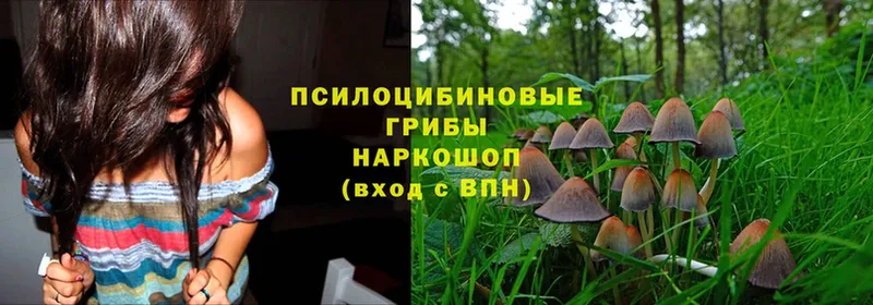 ОМГ ОМГ как войти  Барнаул  Галлюциногенные грибы Magic Shrooms 